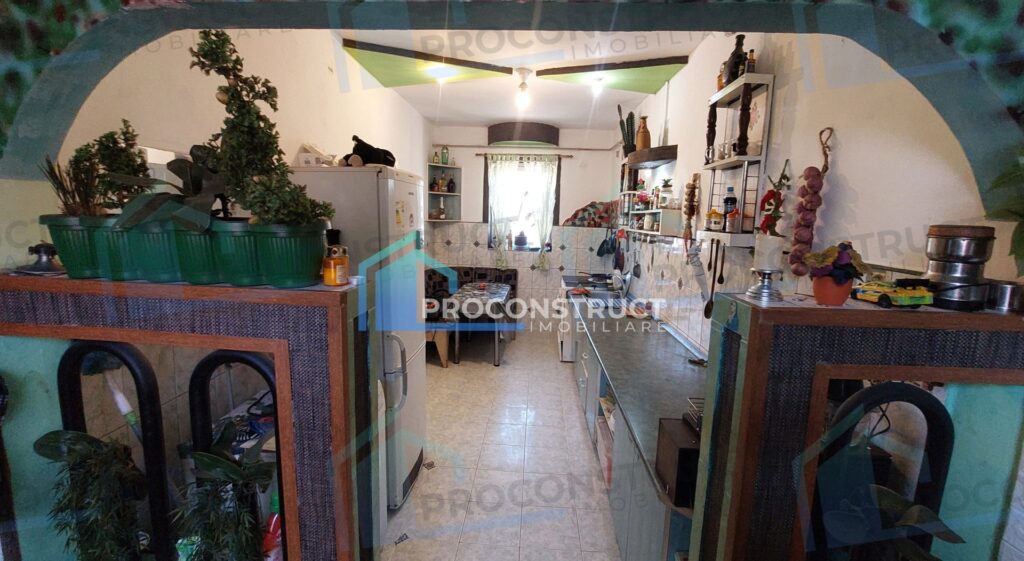 Apartament la etajul 1, Iosefin