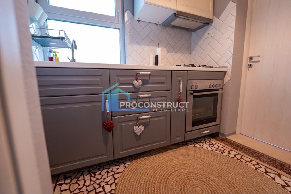 Apartament la etajul 1, Elisabetin