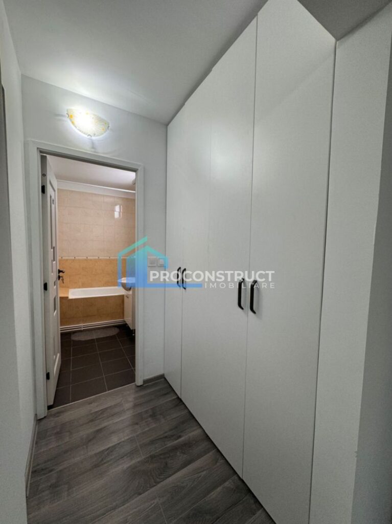 Apartament cu 1 dormitor și 1 baie, Dambovita